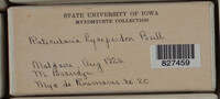 Image Associated With the Occurence